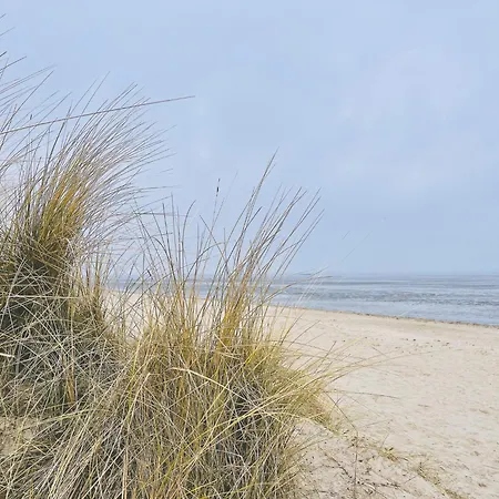 Strandnahe Souterrain-ferienwohnung Haus Sonneneck 3 شقة كوكسهافن